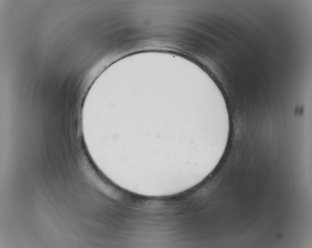 X0000112081371200909151102