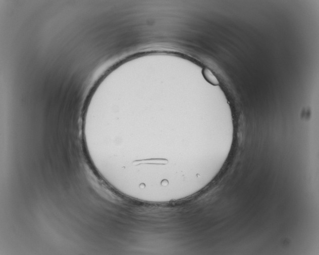 X0000112081372200909151102