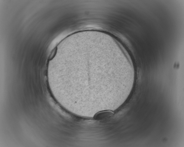 X0000112081373200909151102
