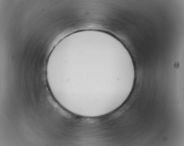 X0000112081374200909151102