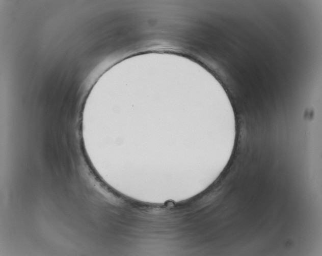 X0000112081375200909151102