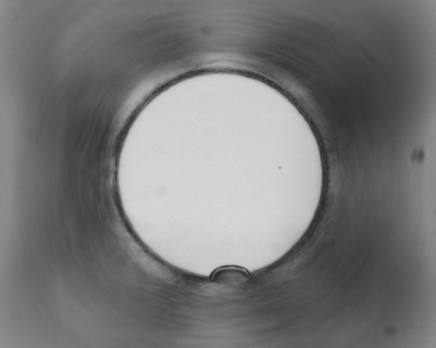 X0000112081376200909151102