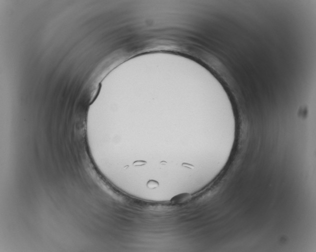 X0000112081377200909151102