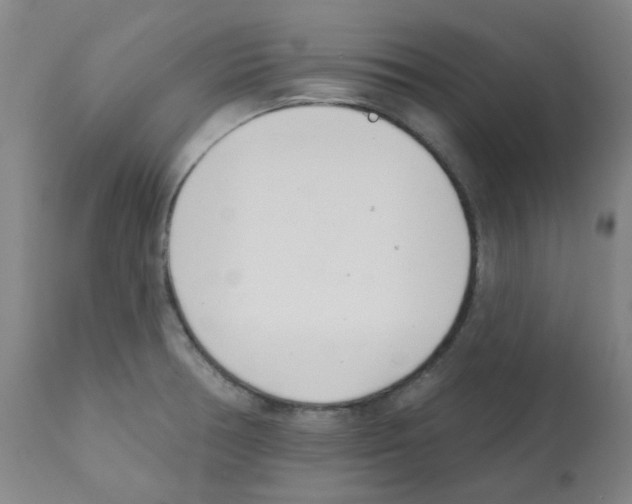 X0000112081378200909151102