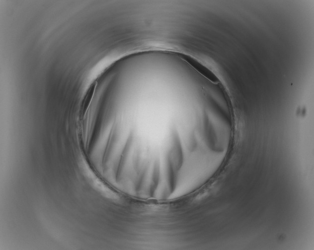 X0000112081381200909151102