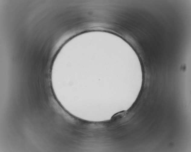 X0000112081384200909151102
