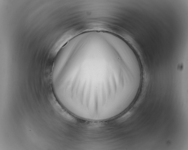 X0000112081385200909151102