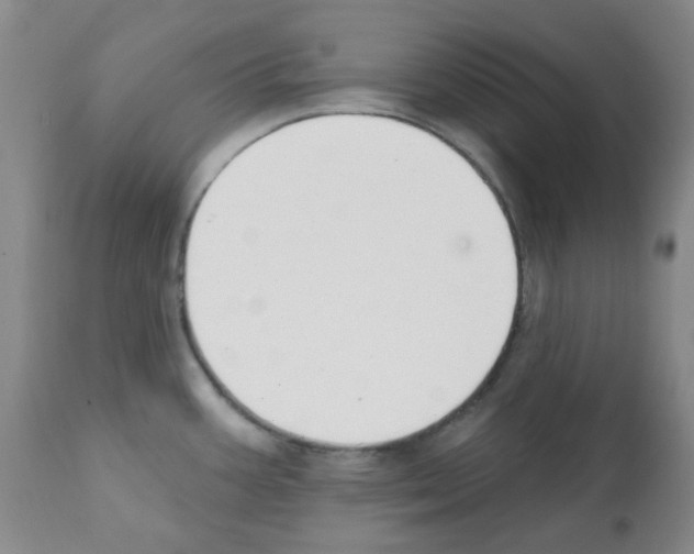 X0000112081387200909151102