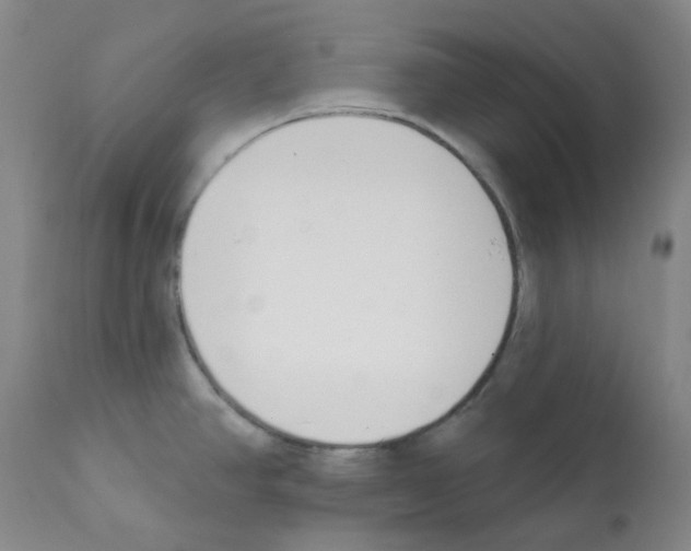 X0000112081390200909151102