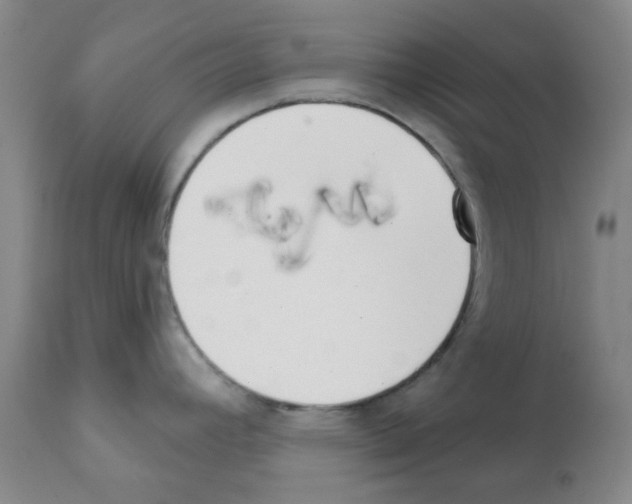 X0000112081392200909151102