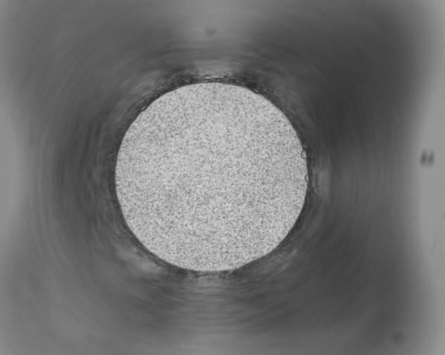 X0000112081393200909151101