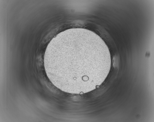 X0000112081395200909151101