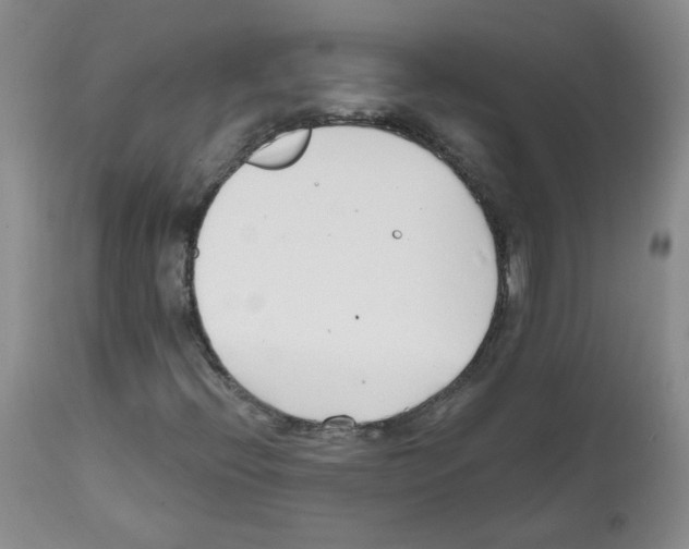 X0000112081396200909151101