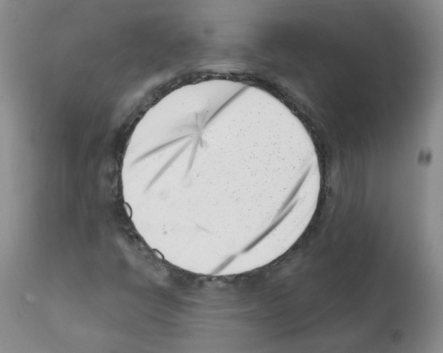 X0000112081398200909151101