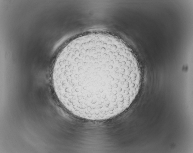 X0000112081400200909151101