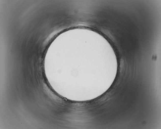 X0000112081404200909151101