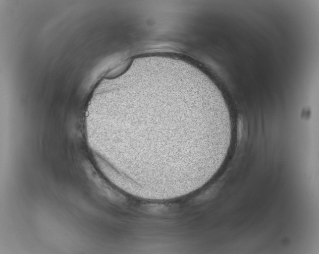 X0000112081405200909151101