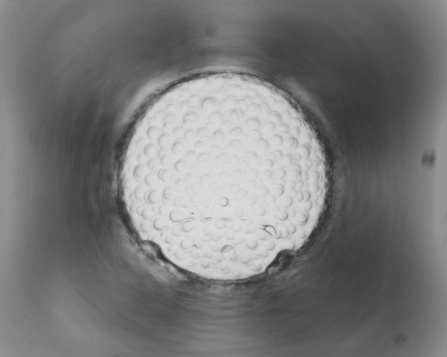 X0000112081408200909151102