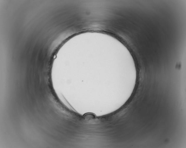 X0000112081410200909151102
