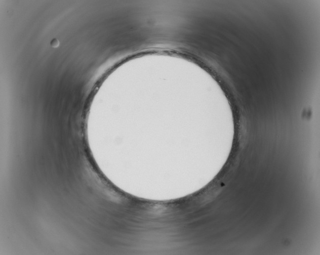X0000112081412200909151102