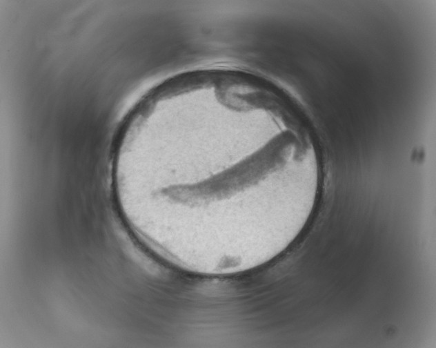 X0000112081414200909151102