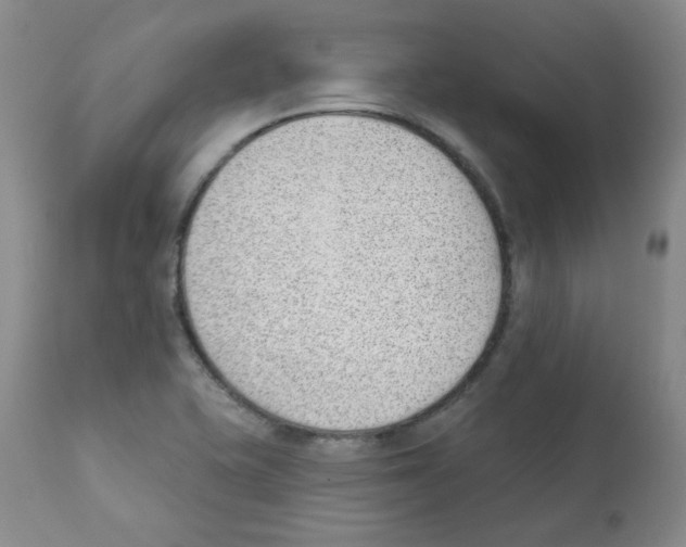 X0000112081415200909151102