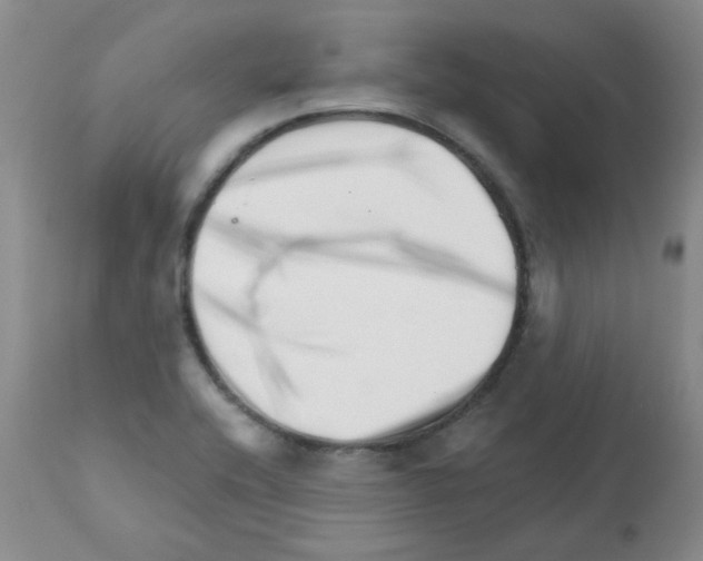 X0000112081416200909151102