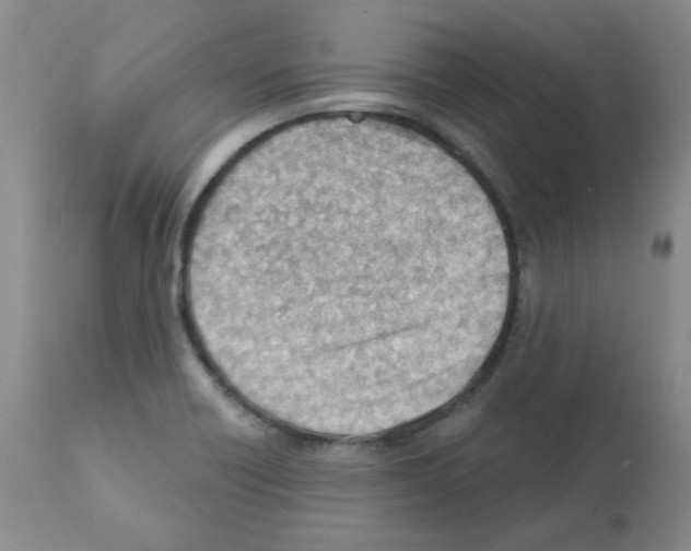 X0000112081418200909151102