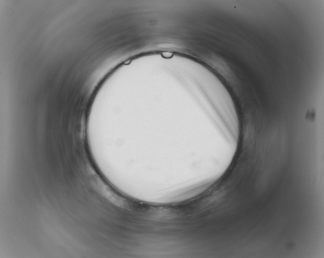 X0000112081420200909151102