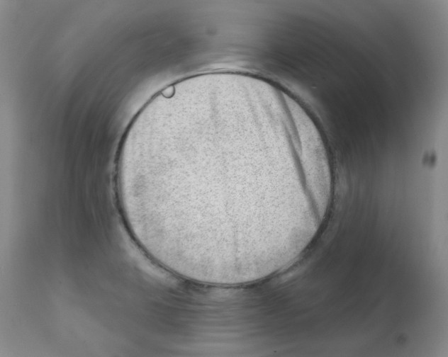 X0000112081423200909151102