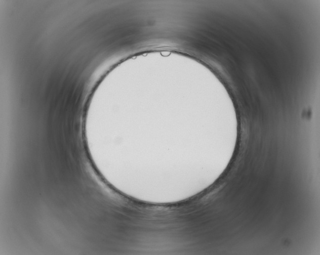 X0000112081424200909151102