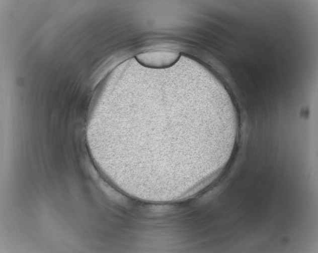 X0000112081425200909151102