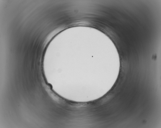 X0000112081426200909151102