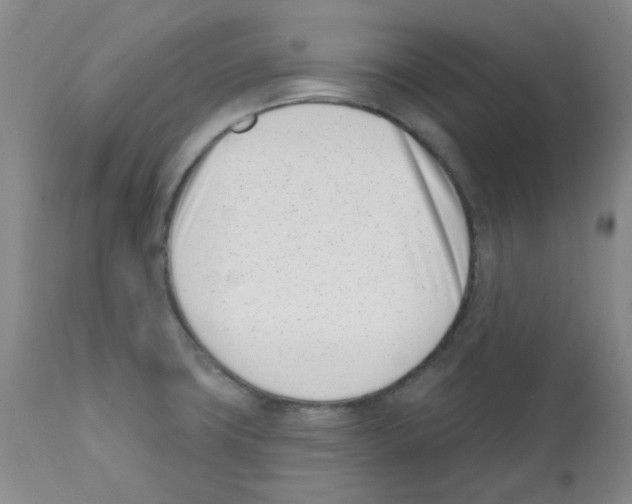 X0000112081427200909151102
