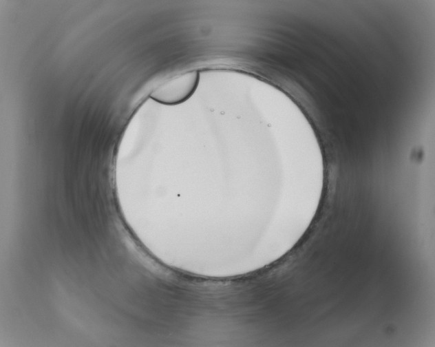 X0000112081428200909151102