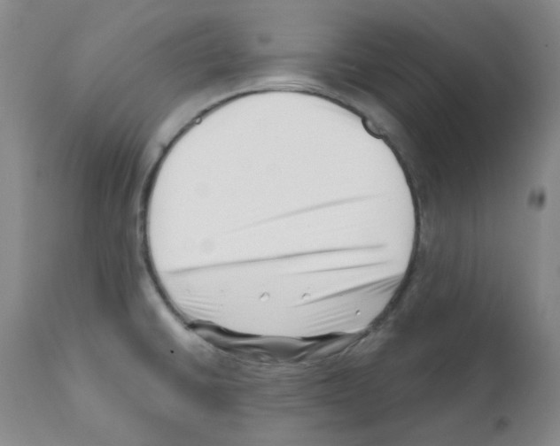 X0000112081430200909151102