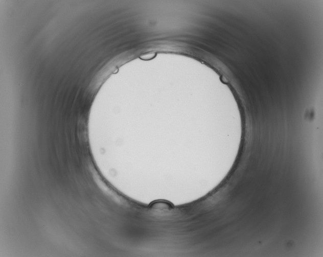 X0000112081433200909151102