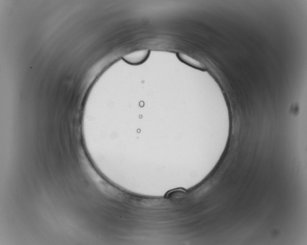 X0000112081434200909151102