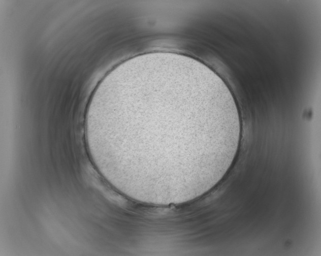 X0000112081435200909151102