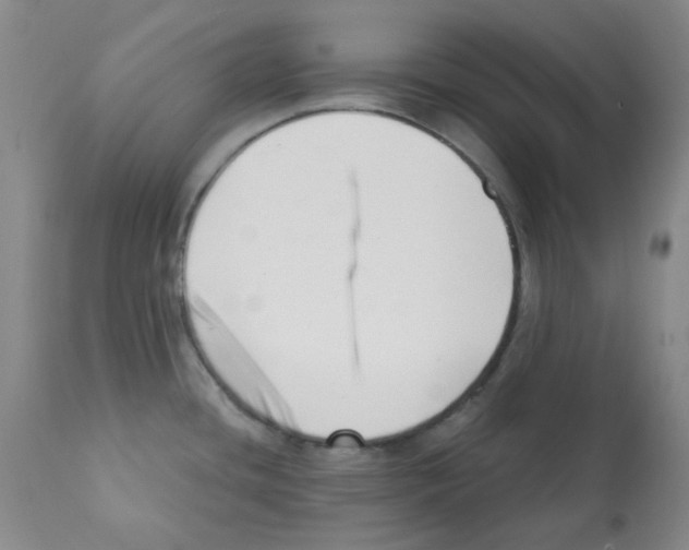 X0000112081436200909151102