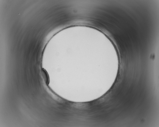 X0000112081437200909151102