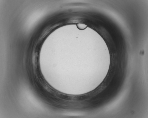 X0000112081438200909151102