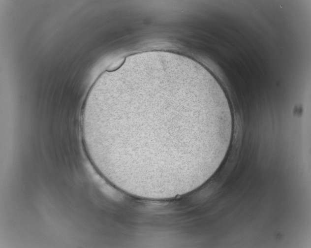 X0000112081439200909151102