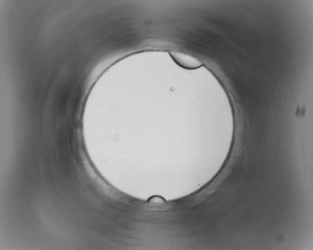 X0000112081440200909151102