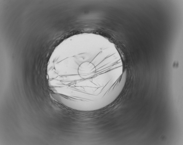 X0000112081441200909151101