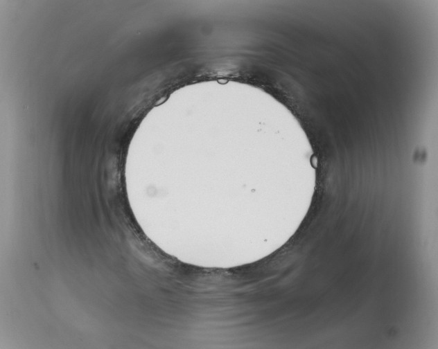 X0000112081442200909151101