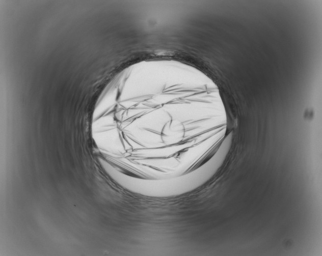 X0000112081443200909151101