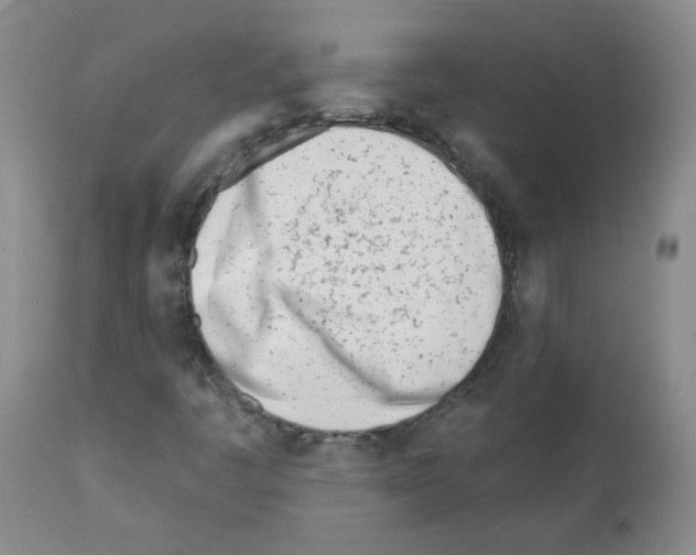 X0000112081445200909151101