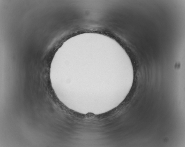 X0000112081447200909151101