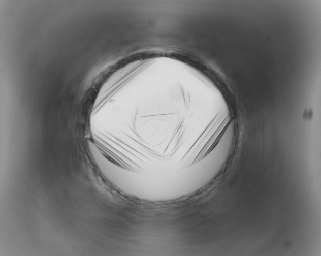 X0000112081448200909151101